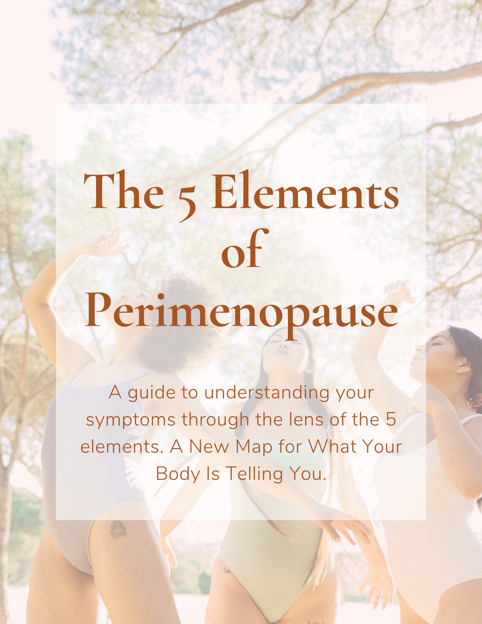 Free women's health ebook on the 5 elements of perimenopause