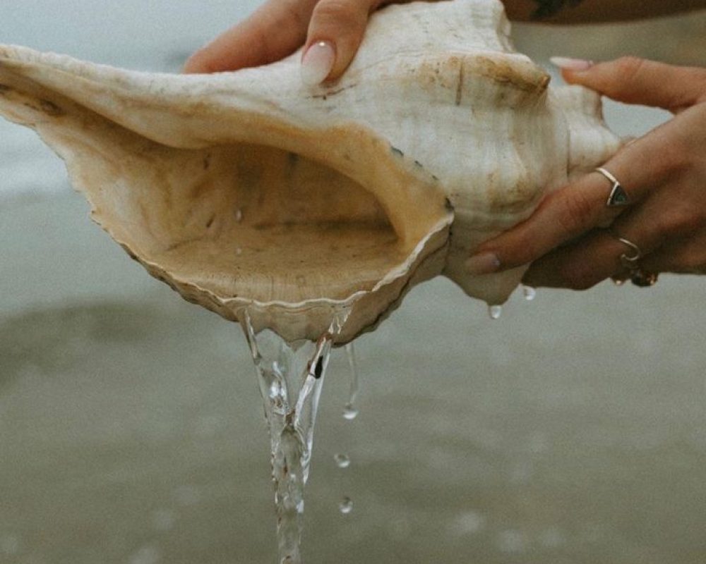 seeandwoman